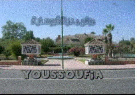 youyou